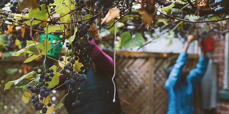 Photo Credit: Lauren Kolyn